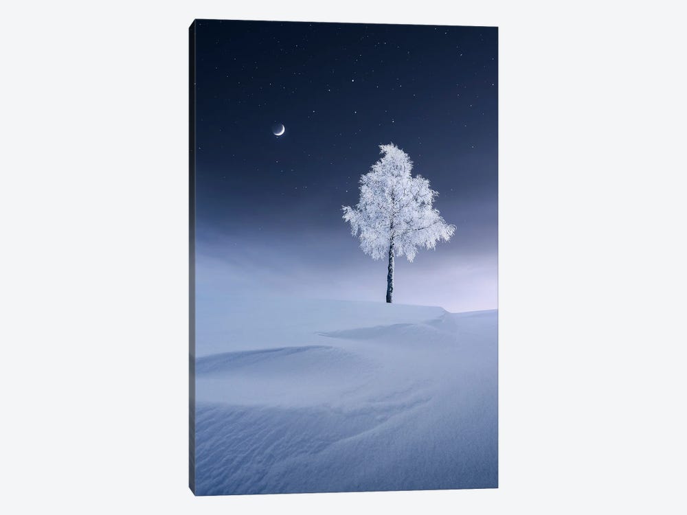 Waxing by Lauri Lohi 1-piece Canvas Art