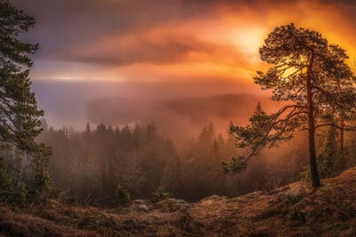 Freshness Of Autumn by Lauri Lohi canvas print