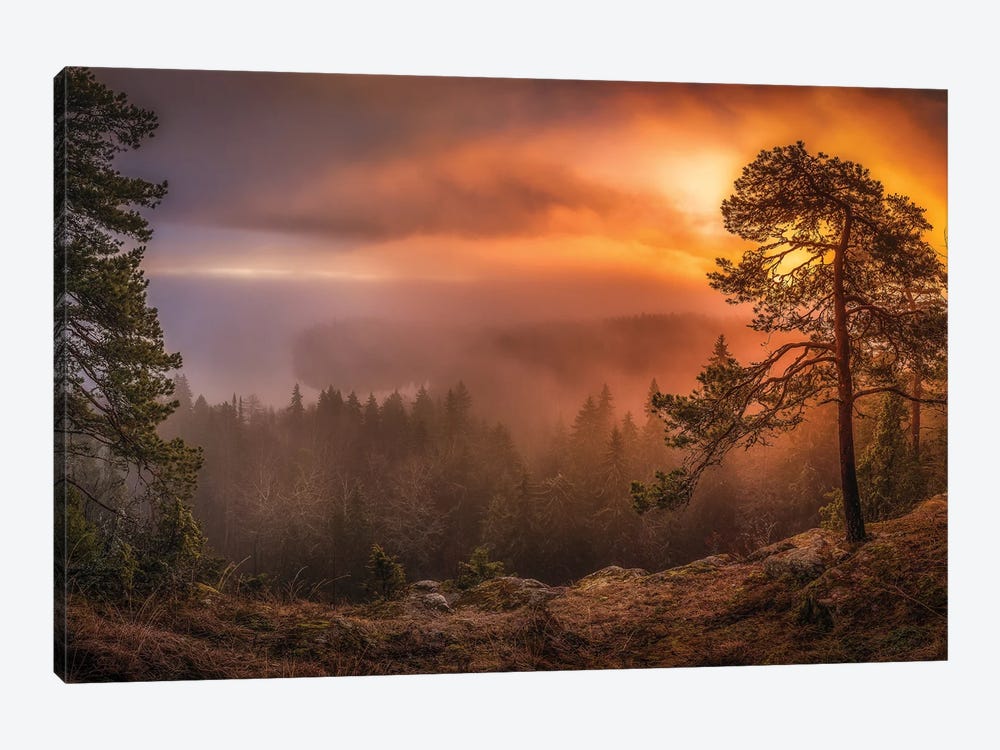 Freshness Of Autumn by Lauri Lohi 1-piece Canvas Art