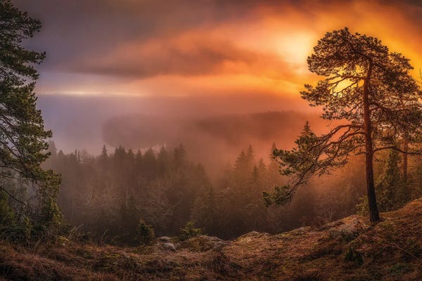 Lauri Lohi: Freshness Of Autumn by Lauri Lohi