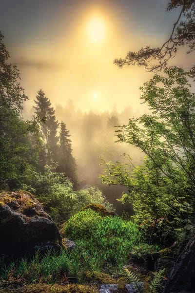 Fairy Morning by Lauri Lohi canvas print