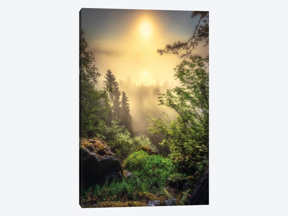 Fairy Morning by Lauri Lohi 1-piece Canvas Print