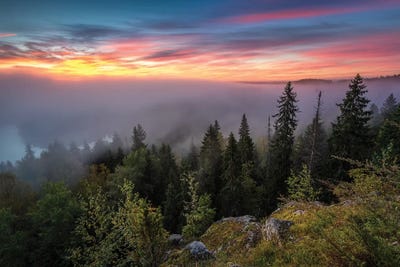 Foggy Morning by Lauri Lohi canvas print