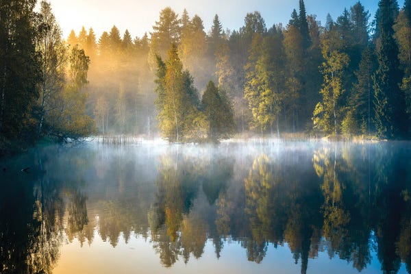 Lauri Lohi: Forest Pond by Lauri Lohi