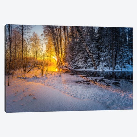 Freezing Winter Morning Canvas Print #LUR23} by Lauri Lohi Canvas Print