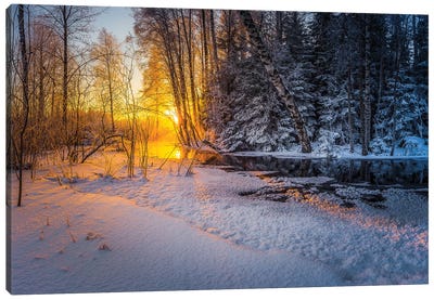 Freezing Winter Morning Canvas Art Print - Lauri Lohi