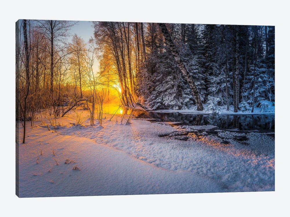Freezing Winter Morning by Lauri Lohi 1-piece Canvas Art Print