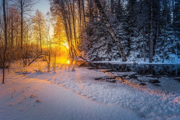 Lauri Lohi: Freezing Winter Morning by Lauri Lohi