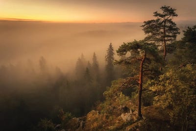 Heavy Fog by Lauri Lohi canvas print