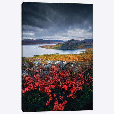 Autumn Colors In Lapland Canvas Print #LUR32} by Lauri Lohi Canvas Wall Art