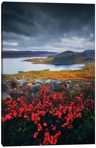 Autumn Colors In Lapland Canvas Art Print