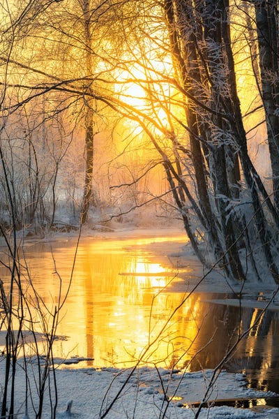 Golden Creek by Lauri Lohi canvas print