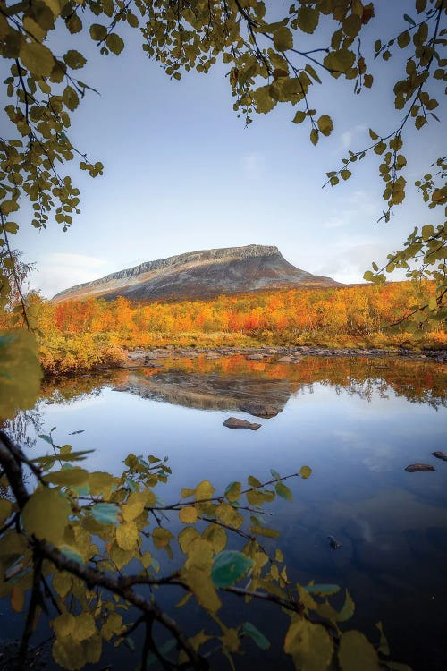 Saana Fell In Autumn