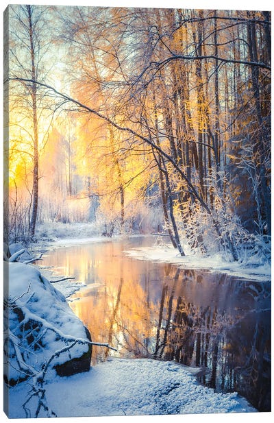 Golden Creek II Canvas Art Print - Lauri Lohi