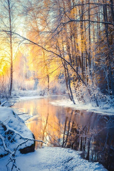 Lauri Lohi: Golden Creek II by Lauri Lohi