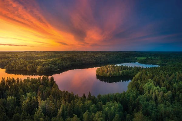 Lauri Lohi: Aulangonjärvi From Adove by Lauri Lohi