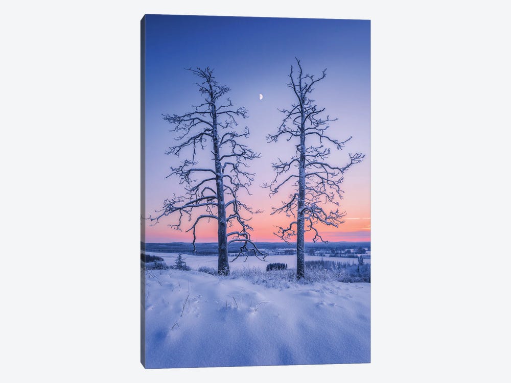 Two Guardians by Lauri Lohi 1-piece Canvas Art