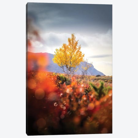 Lonely I Canvas Print #LUR41} by Lauri Lohi Art Print