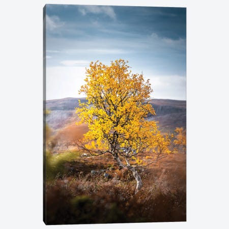Lonely II Canvas Print #LUR42} by Lauri Lohi Canvas Print