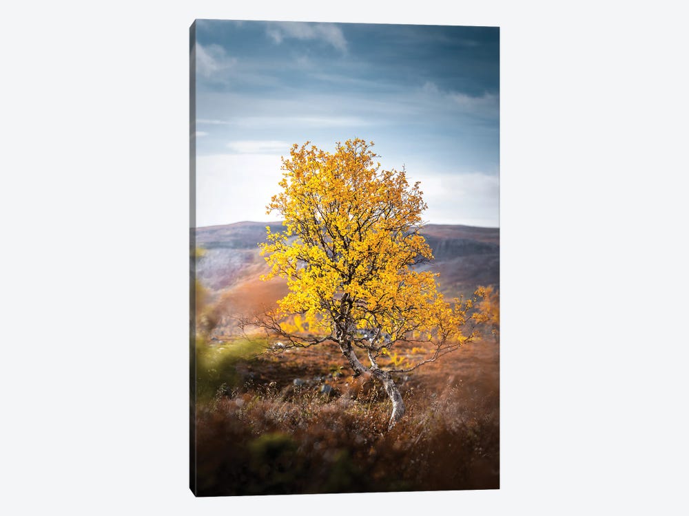 Lonely II by Lauri Lohi 1-piece Canvas Wall Art
