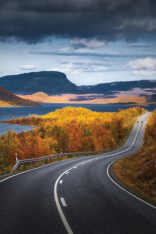 Autumn Road In Lapland