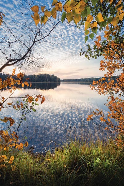 Liesjärvi Autumn by Lauri Lohi canvas print