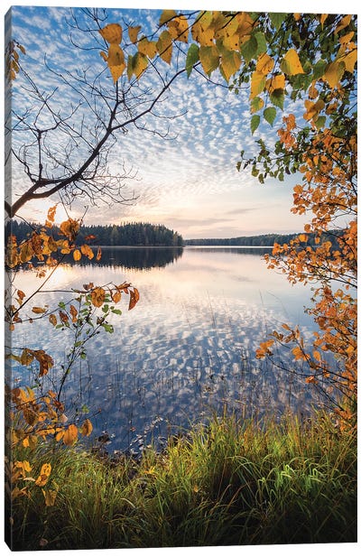 Liesjärvi Autumn Canvas Art Print - Lauri Lohi