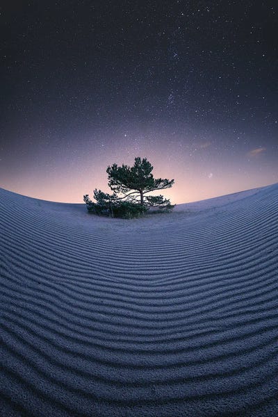 Under The Stars by Lauri Lohi canvas print