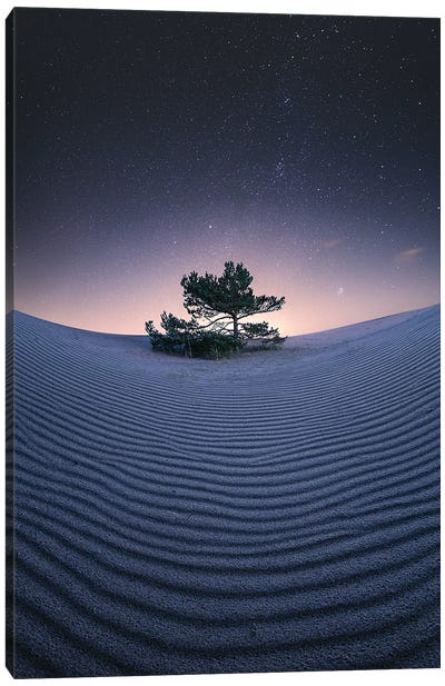 Under The Stars Canvas Art Print - Desert Landscape Photography