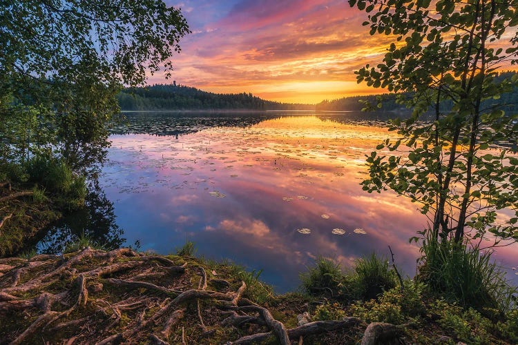 Summer Evening At Aulangonjärvi