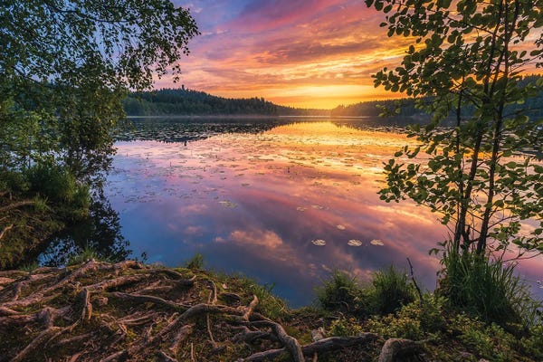 Lake Sunrises & Sunsets: Summer Evening At Aulangonjärvi by Lauri Lohi