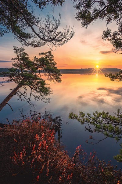 Lake Sunrises & Sunsets: Reaching by Lauri Lohi