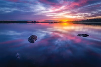 Vivid by Lauri Lohi framed wall art