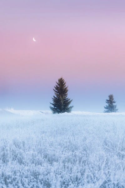 First Frost Of Winter by Lauri Lohi canvas print