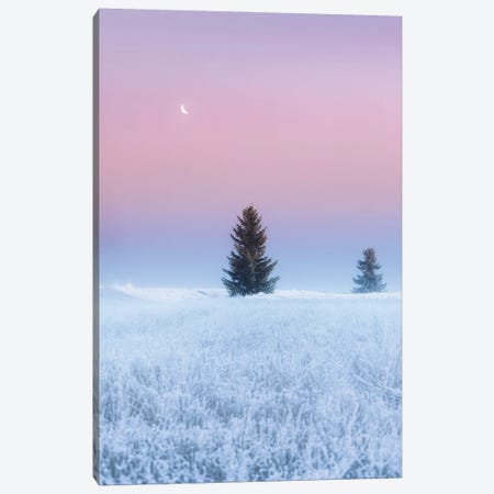 First Frost Of Winter Canvas Print #LUR55} by Lauri Lohi Canvas Print