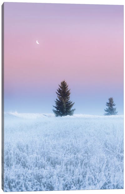 First Frost Of Winter Canvas Art Print - Lauri Lohi