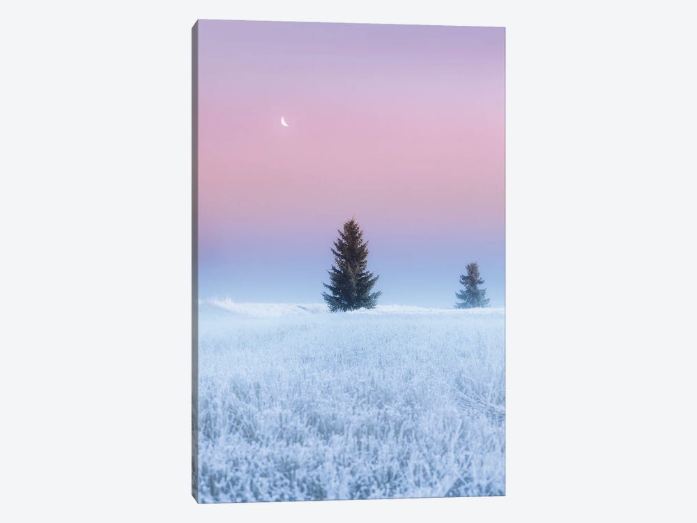 First Frost Of Winter by Lauri Lohi 1-piece Canvas Wall Art