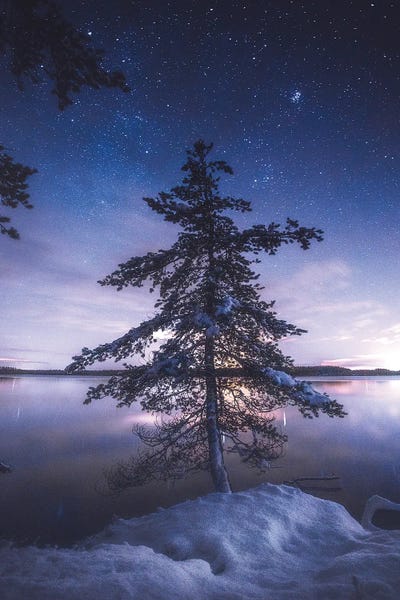 First Snow Under The Stars by Lauri Lohi canvas print