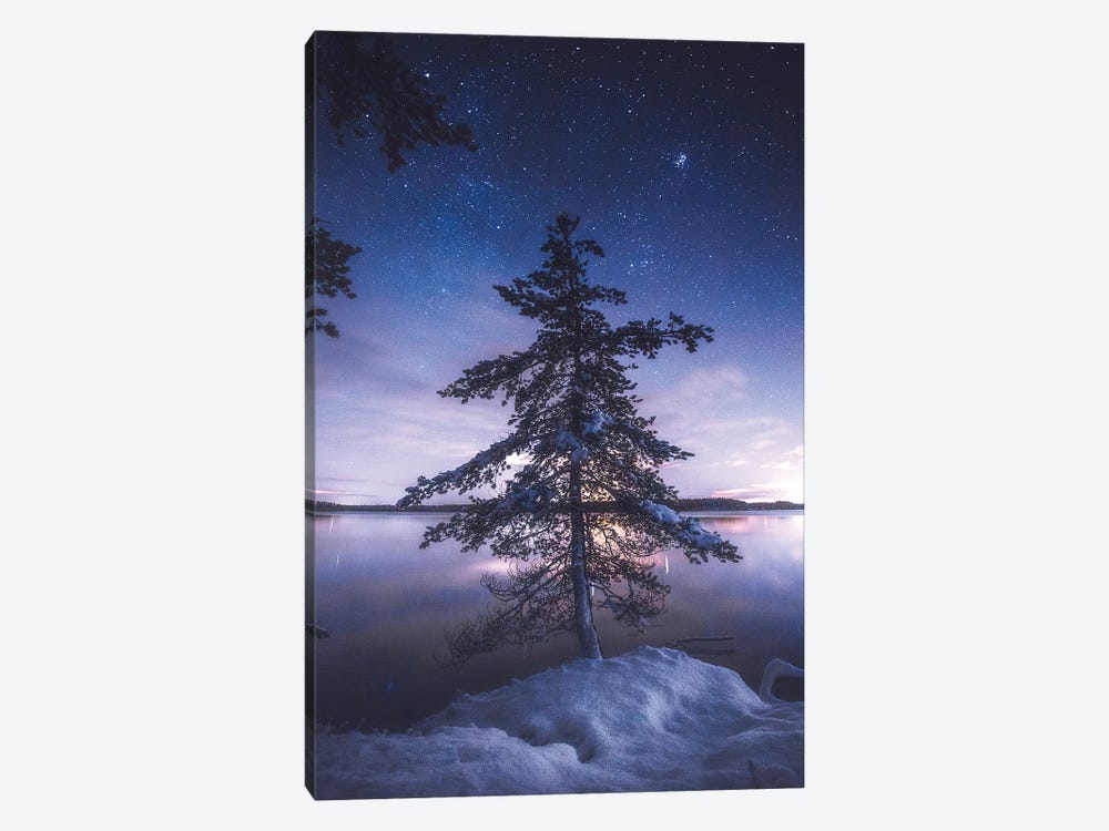 First Snow Under The Stars by Lauri Lohi 1-piece Art Print