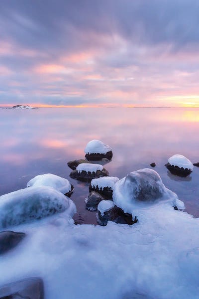 Ice Coated by Lauri Lohi canvas print