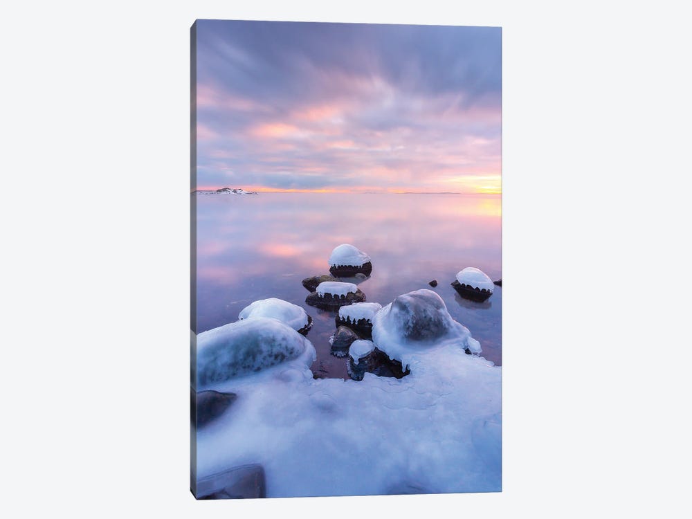 Ice Coated by Lauri Lohi 1-piece Canvas Art