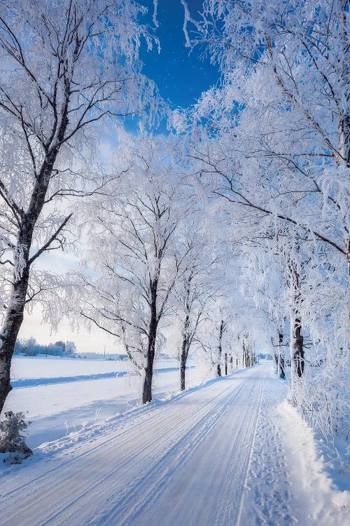 Winter Road