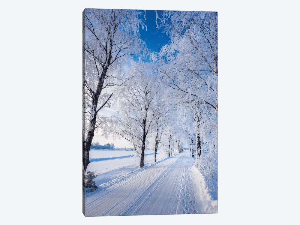 Winter Road by Lauri Lohi 1-piece Canvas Art Print