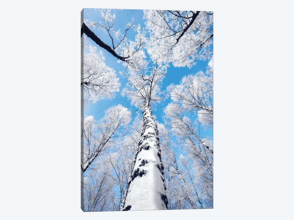 Reaching The Sky by Lauri Lohi 1-piece Canvas Print