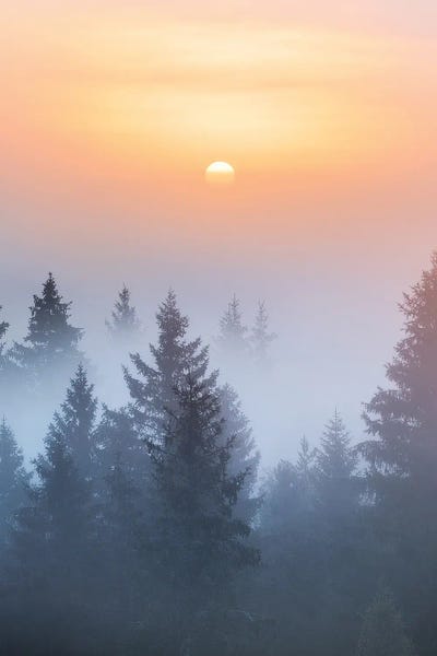 Mysterious by Lauri Lohi canvas print