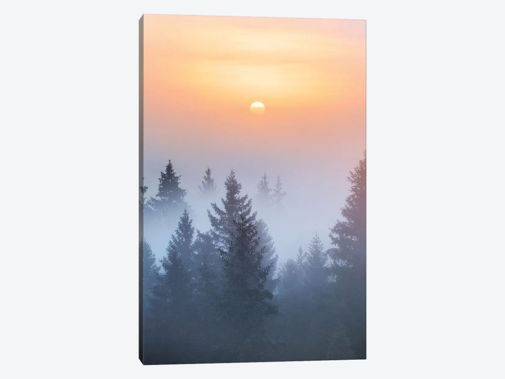 Mysterious by Lauri Lohi 1-piece Canvas Print