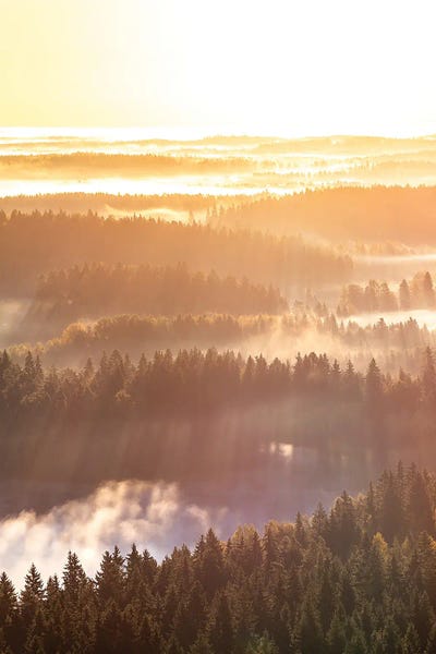 Rays Of Morning by Lauri Lohi framed wall art
