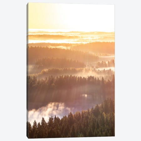 Rays Of Morning Canvas Print #LUR77} by Lauri Lohi Canvas Art Print