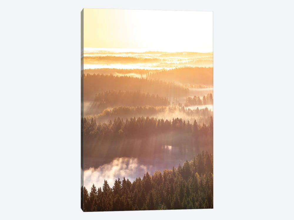 Rays Of Morning by Lauri Lohi 1-piece Canvas Art