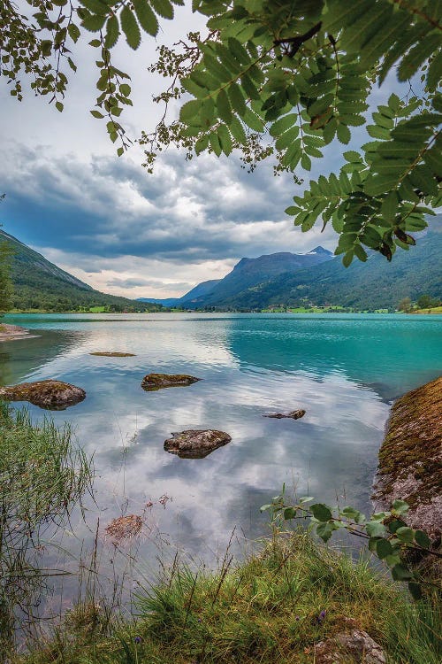 Summerday In Norway